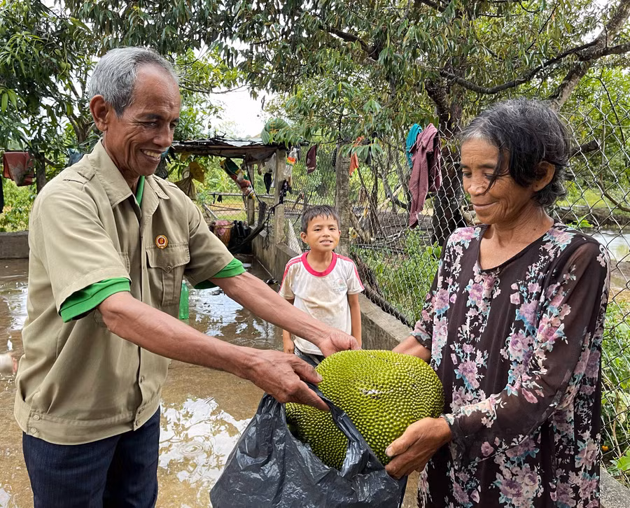 Gia đình ông Juir-làng Klot vẫn còn gần 40 gốc mít cổ thụ. Món quà là quả mít chín còn thể hiện sự mến khách của những người Jrai trên vùng đất cách mạng. JPG
