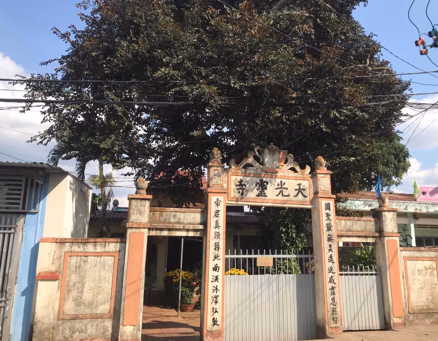 Chùa Hai Ngựa. Ảnh: Nguyễn Thị Diễm