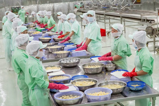 Chế biến trái cây và rau củ quả xuất khẩu tại Công ty Thuận Phong. Sản phẩm xuất khẩu sang các nước Mỹ, Nhật, Hàn Quốc, Australia, châu Âu… Ảnh: HOÀNG HÙNG Chế biến trái cây và rau củ quả xuất khẩu tại Công ty Thuận Phong. Sản phẩm xuất khẩu sang các nước Mỹ, Nhật, Hàn Quốc, Australia, châu Âu… Ảnh: HOÀNG HÙNG