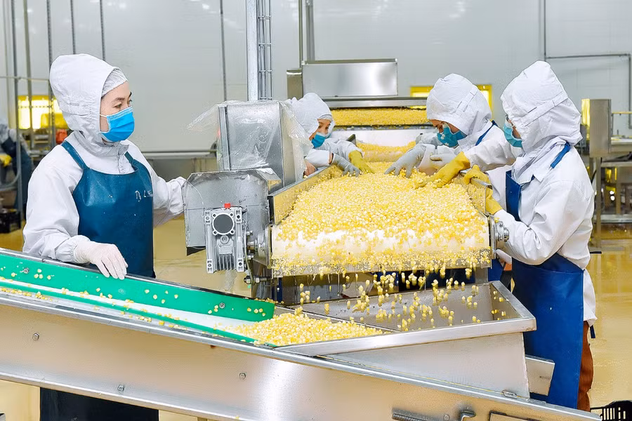 Dây chuyền chế biến rau quả của DOVECO Gia Lai