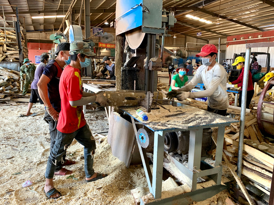 Nhà máy chế biến gỗ Nhất Huy (Khu Công nghiệp Trà Đa). Ảnh: Hà Duy