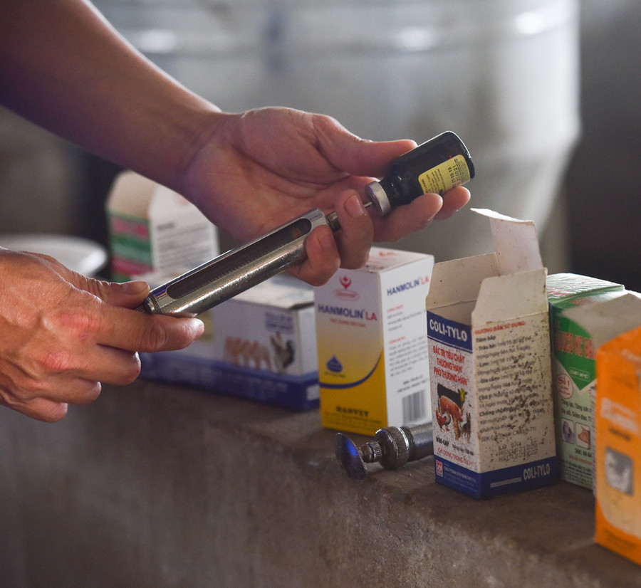 Tủ thuốc phòng, trị bệnh cho đàn heo rừng.