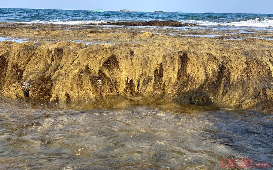  Chỗ đứt quãng được cho là cửa thành để thuyền bè qua lại