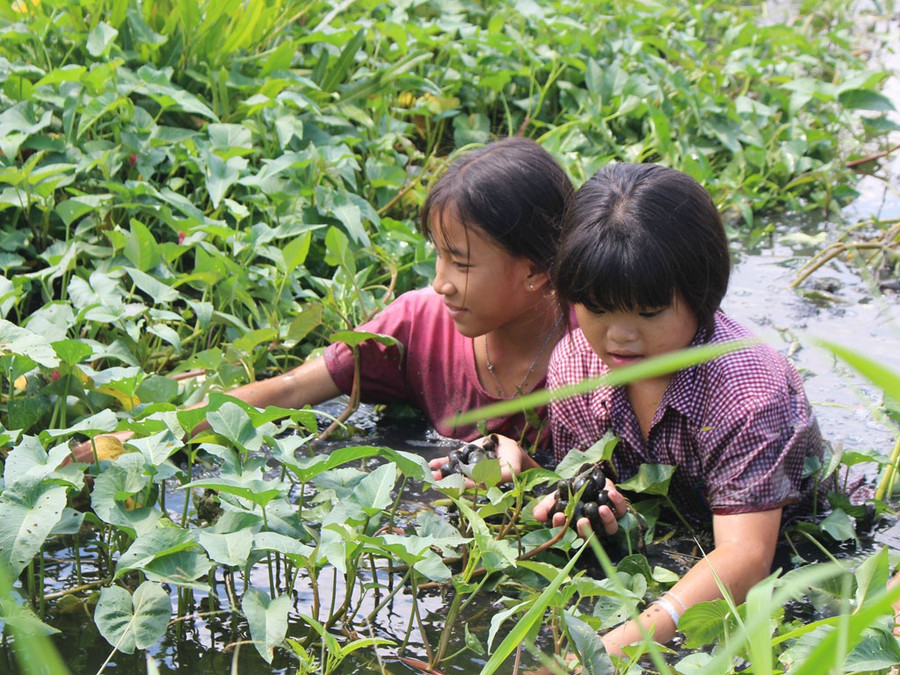 Nguyên (trái) và Nhi bắt ốc mưu sinh
