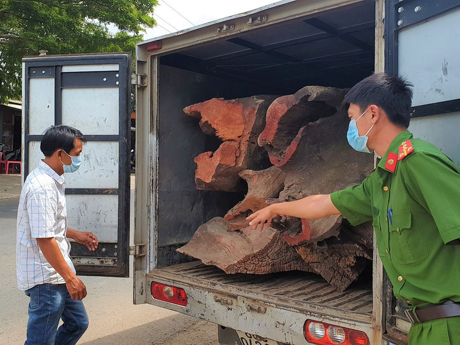 Ông Dương Văn Thanh (áo trắng) cùng chiếc xe tải chở gần 1,4 tấn gỗ hương huyết quý hiếm bị cơ quan công an phát hiện bắt giữ. ẢNH: CTV Ông Dương Văn Thanh (áo trắng) cùng chiếc xe tải chở gần 1,4 tấn gỗ hương huyết quý hiếm bị cơ quan công an phát hiện bắt giữ. ẢNH: CTV