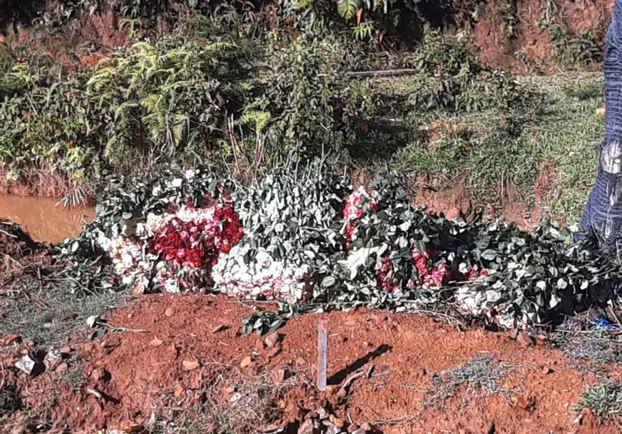 Hoa hồng không bán được đổ bên bờ ta luy. ẢNH: LÂM VIÊN