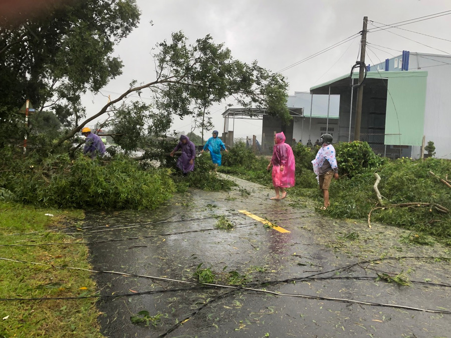 Mưa bão số 9 năm 2020 la,2 nhiều cây cối đổ ra đường