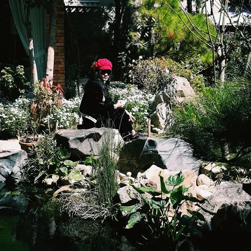 Không gian xanh trong nhà tạo nên cảm giác thư thái cho người sống trong đó Ảnh: ĐINH THU HIỀN - CẨM NHUNG