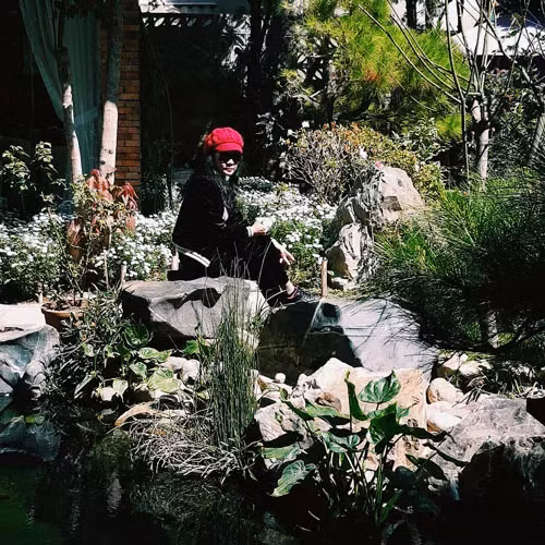 Không gian xanh trong nhà tạo nên cảm giác thư thái cho người sống trong đó Ảnh: ĐINH THU HIỀN - CẨM NHUNG