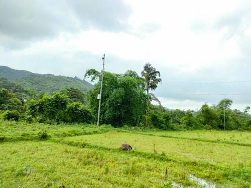 Việc triển khai lắp đặt camera ở các tuyến dọc biên giới đã tăng hiệu quả giám sát, ngăn chặn tình trạng nhập cảnh trái phép. Ảnh: TRỌNG ĐỨC