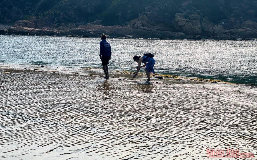 Buổi sáng, bức tường chìm trong nước biển