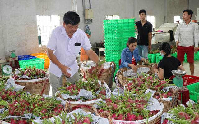 Xuất khẩu nhiều loại rau, quả trong 4 tháng đầu năm nay tăng trưởng mạnh, dù bị ảnh hưởng nhiều bởi dịch bệnh Covid-19.