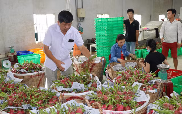 Xuất khẩu nhiều loại rau, quả trong 4 tháng đầu năm nay tăng trưởng mạnh, dù bị ảnh hưởng nhiều bởi dịch bệnh Covid-19.