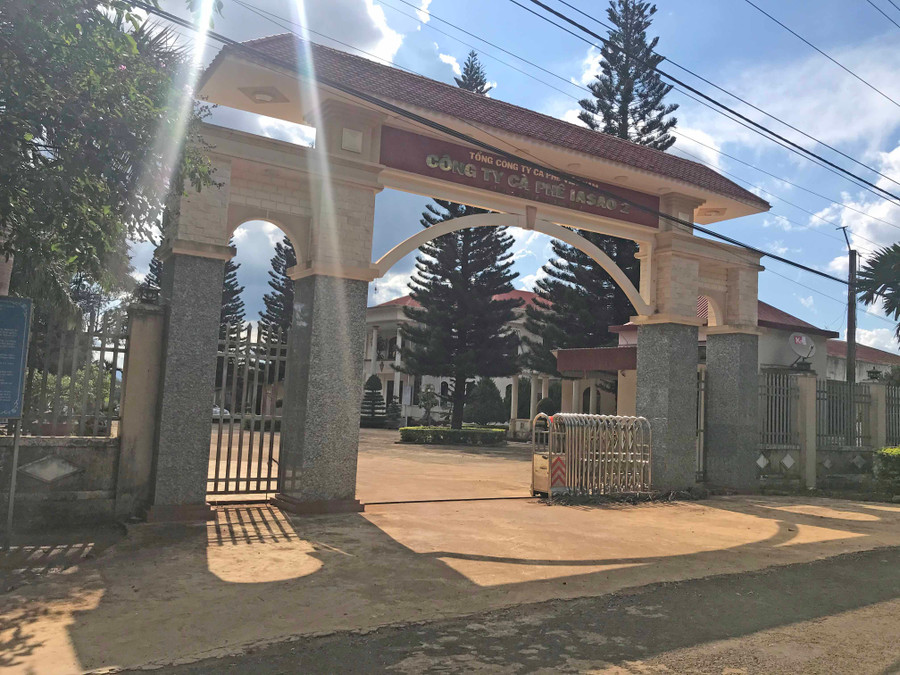 Vụ việc xảy ra tại Công ty Cà phê Ia Sao 2