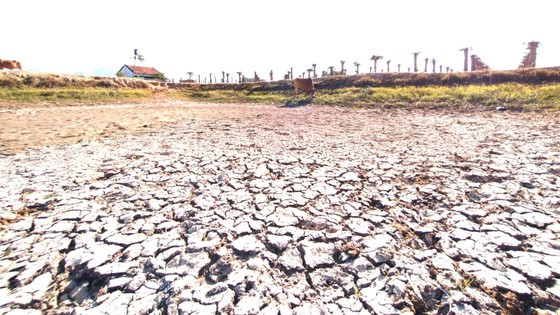 Mặc dù mới đầu tháng 4, nhưng nhiều ao hồ ở huyện Hàm Thuận Bắc (tỉnh Bình Thuận) đã cạn trơ đáy, đất đai nứt nẻ. Ảnh: NGUYỄN TIẾN