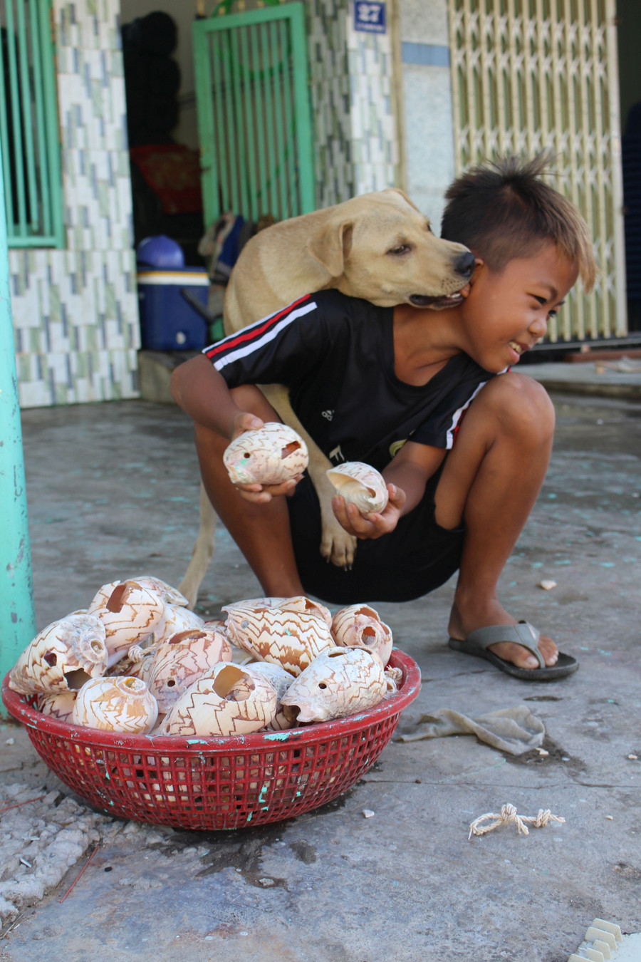 Trường chuẩn bị vỏ ốc voi để thay thế ốc bị hư trên giàn ốc bẫy bạch tuộc. ẢNH: QUANG VIÊN
