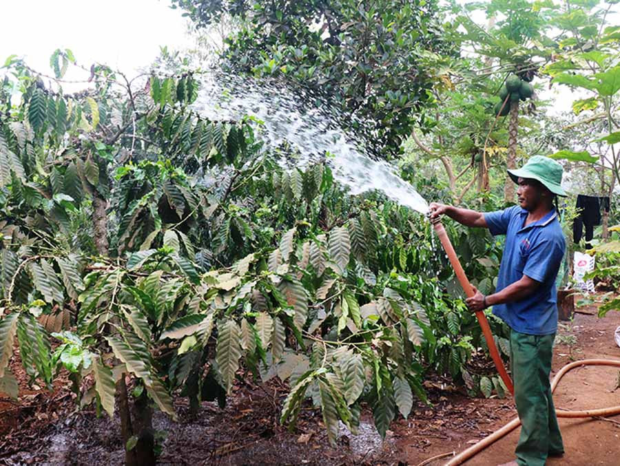 Với giá phân bón như hiện tại, nông dân hết sức lo lắng cho một vụ mùa bất ổn. Ảnh: Nhật Hào