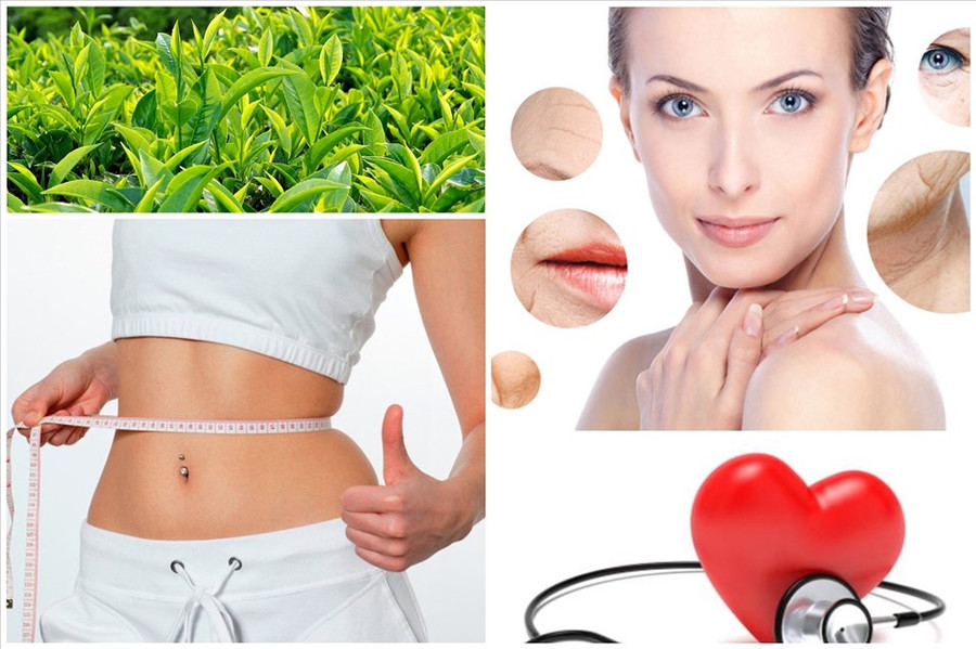 Trà xanh có một số công dụng tốt khi bạn sử dụng hợp lý. Đồ hoạ: Ánh Nhiên