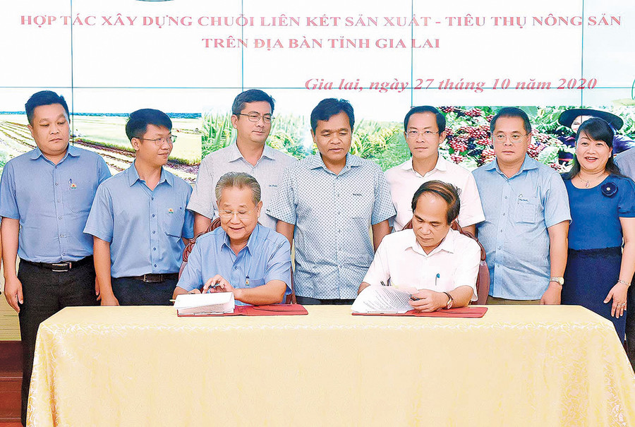 Lãnh đạo tỉnh và Tập đoàn Lộc Trời (tỉnh An Giang) ký kết bản ghi nhớ chương trình hợp tác xây dựng chuỗi liên kết sản xuất-tiêu thụ nông sản. Ảnh: Đức Thụy