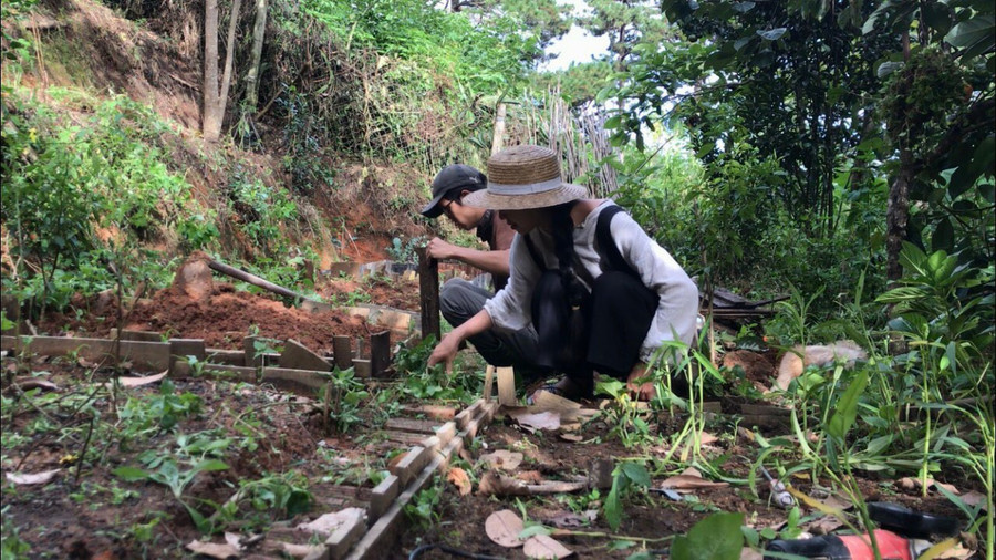 Còn Linh phụ trách việc trồng trọt quanh khu nhà