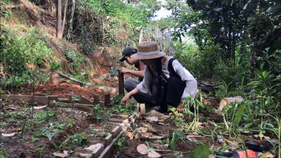 Còn Linh phụ trách việc trồng trọt quanh khu nhà