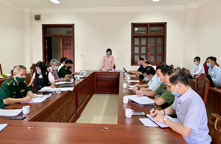  Phó Chủ tịch UBND tỉnh Nguyễn Thị Thanh Lịch phát biểu tại cuộc họp. Ảnh: Như Nguyện