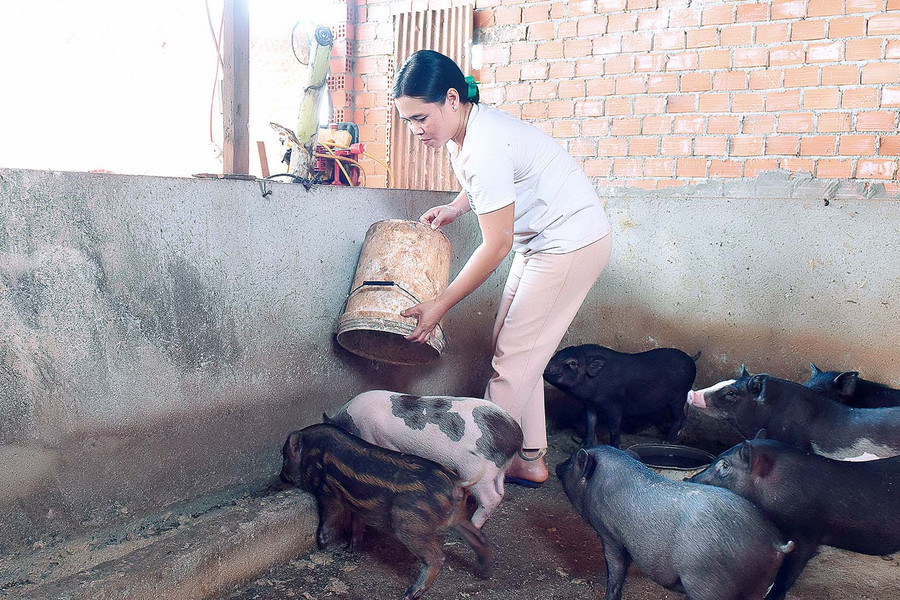 Sau 1 năm chăm sóc chị Phyon có 1 đàn heo 16 con, chị vừa bán bớt 4 con cho thu nhập gần 20 triệu đồng. Ngoài ra, chị còn trồng 600 cây cà phê, 500 cây cao su và 5 ha điều bình quân mỗi năm cho thu nhập hơn 100 triệu đồng. Nhờ đó chăm chỉ làm ăn phát triển kinh tế, năm 2020 gia đình chị đã thoát nghèo bền vững