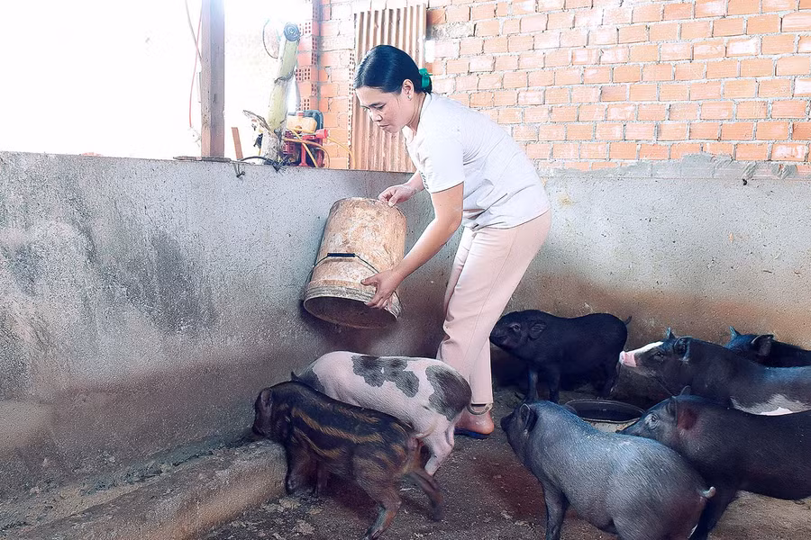 Sau 1 năm chăm sóc chị Phyon có 1 đàn heo 16 con, chị vừa bán bớt 4 con cho thu nhập gần 20 triệu đồng. Ngoài ra, chị còn trồng 600 cây cà phê, 500 cây cao su và 5 ha điều bình quân mỗi năm cho thu nhập hơn 100 triệu đồng. Nhờ đó chăm chỉ làm ăn phát triển kinh tế, năm 2020 gia đình chị đã thoát nghèo bền vững