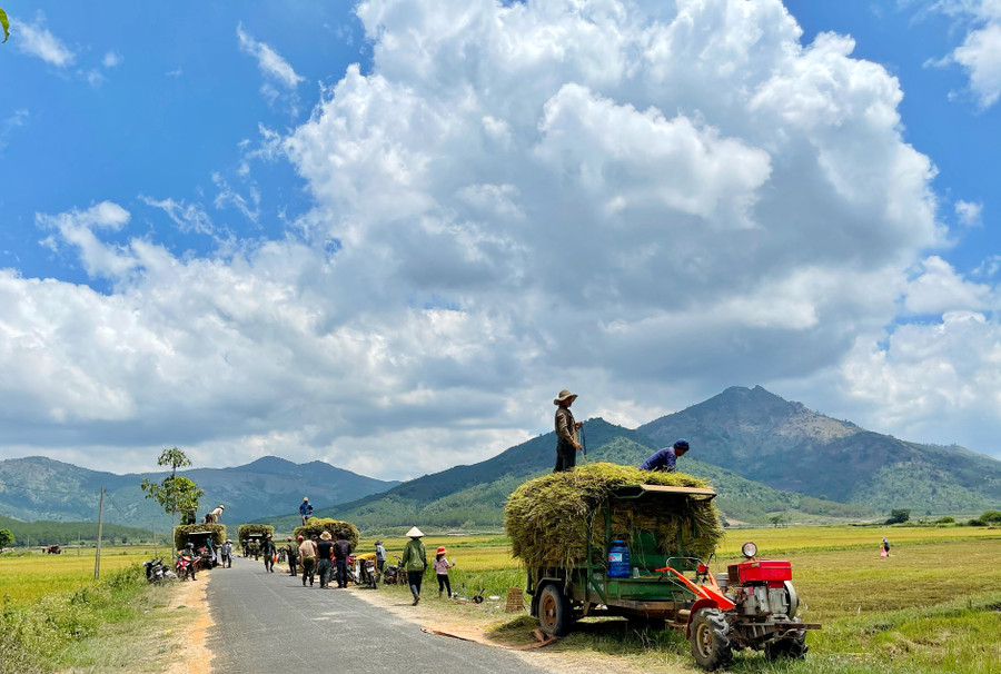 Ảnh 1: Bức tranh ngày mùa