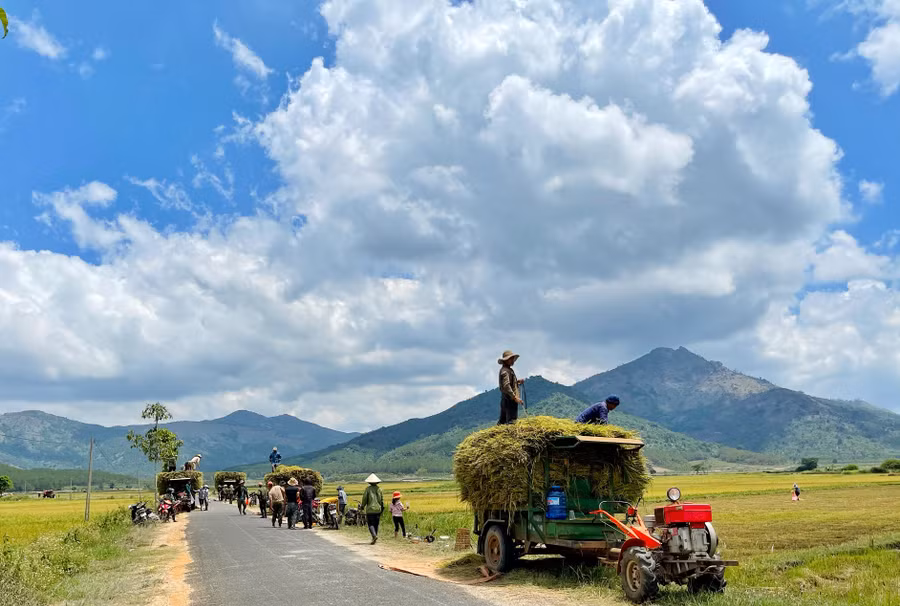 Ảnh 1: Bức tranh ngày mùa