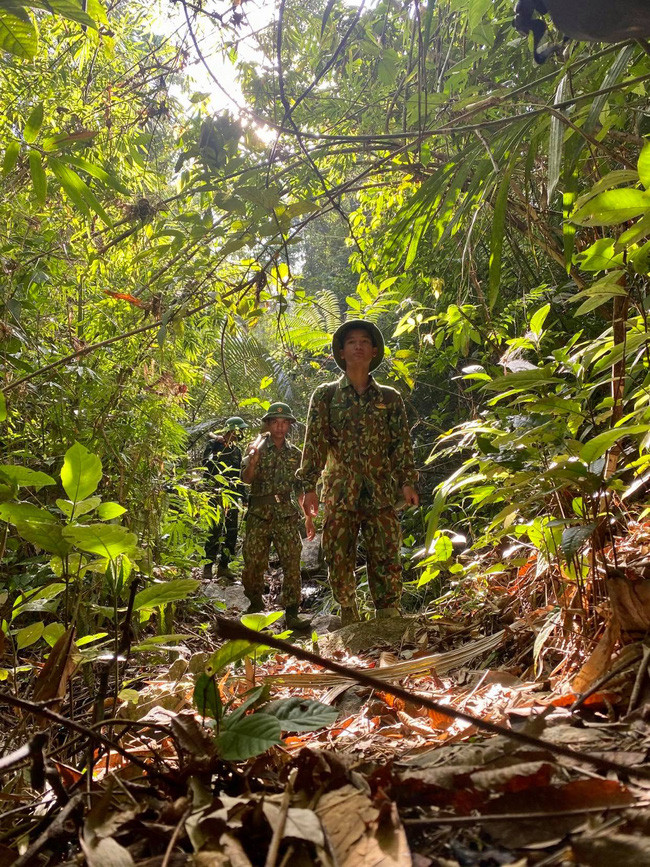 Hành trình tìm kiếm trong rừng Chư Mom Ray. Ảnh: Mai Nguyễn