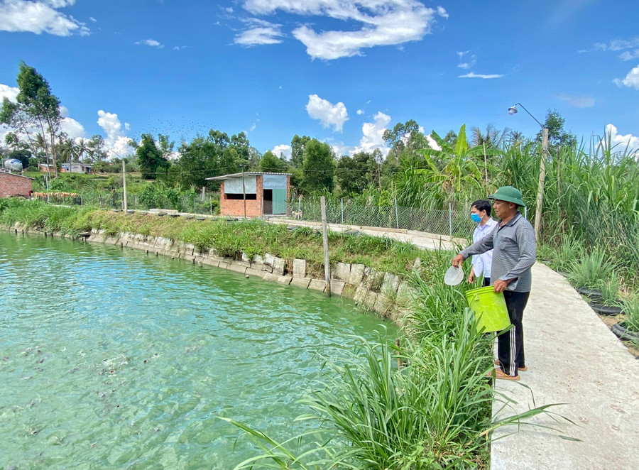 Gia đình ông Nguyễn Đắc Doãn (thôn 6, xã Thành An) phát triển mô hình vườn-ao-chuồng cho thu nhập cao. Ảnh: Mộc Trà