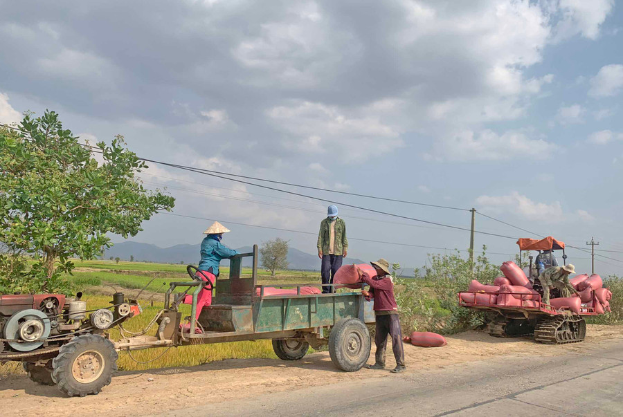 Nhờ sự hỗ trợ của các cấp ngành, người dân tộc thiểu số đã biết áp dụng tiến bộ khoa học kỹ thuật vào phục vụ sản xuất nông nghiệp-ảnh P.Linh