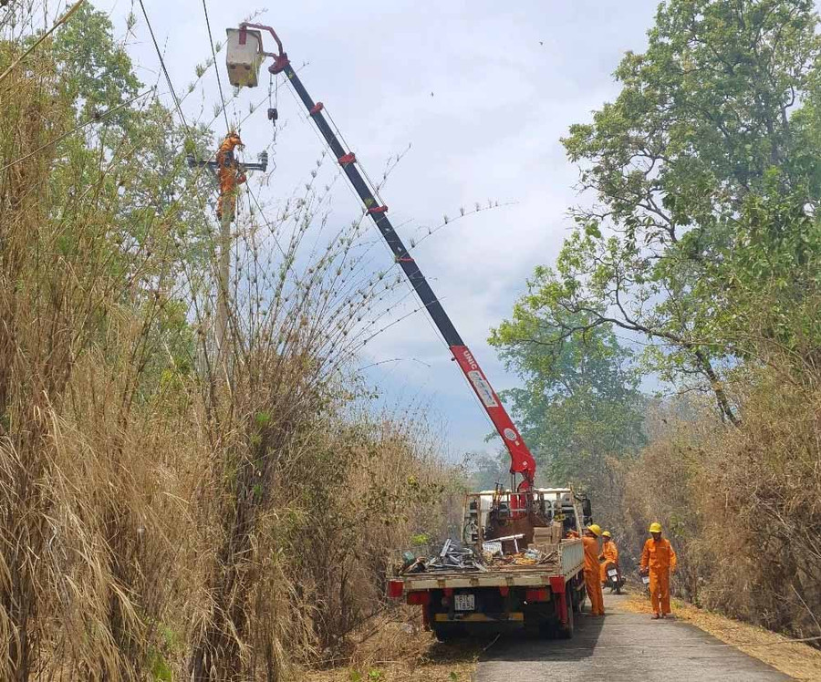 Công ty Điện lực Gia Lai hoàn thiện lưới điện tại huyện Chư Prông. Ảnh: Hà Duy