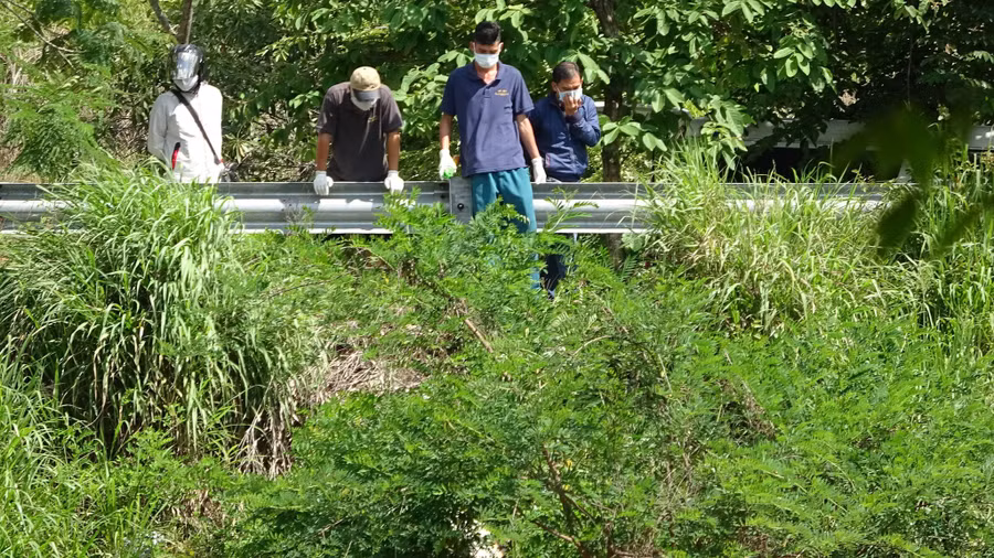  Thi thể một người đàn ông đang trong quá trình phân huỷ nặng được phát hiện trong làng ĐH Quốc gia TP.HCM - Ảnh: Trần Duy Khánh