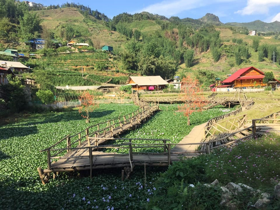 Vẻ đẹp bình yên ở bản Cát Cát. Ảnh: Thào A Pế