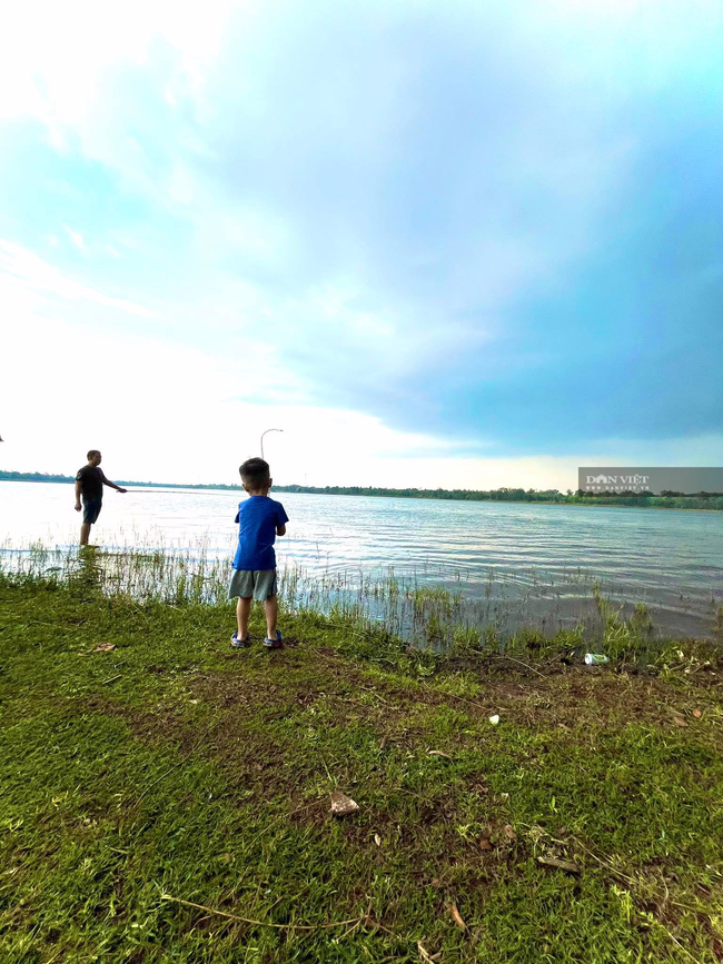 Mọi góc ảnh đều xanh mướt