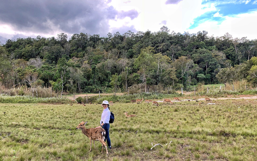  Vườn Quốc gia Kon Ka Kinh là điểm du lịch hấp dẫn trên bản đồ du lịch của tỉnh. Ảnh: Hoàng Ngọc 