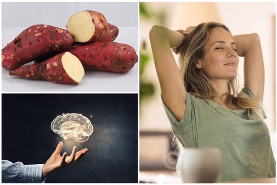 Ảnh minh hoạ một số công dụng của khoai lang. Đồ Hoạ: Ánh Nhiên