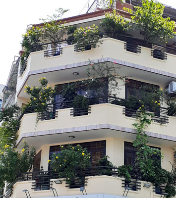 Không gian xanh trên ban-công Ảnh: ĐINH THU HIỀN - CẨM NHUNG