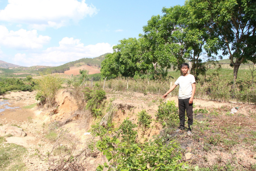 Anh Đức cho rằng thủy điện xả lũ khiến vườn mì của gia đình bị cuốn trôi, sạt lở. ẢNH: ĐỨC NHẬT