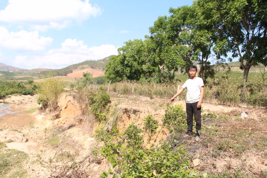 Anh Đức cho rằng thủy điện xả lũ khiến vườn mì của gia đình bị cuốn trôi, sạt lở. ẢNH: ĐỨC NHẬT