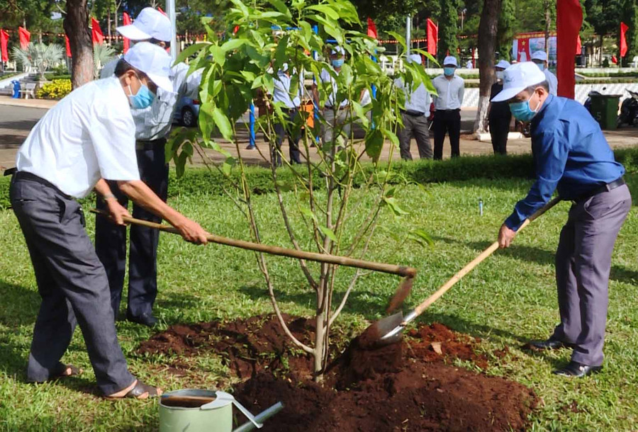 Lãnh đạo huyện Chư Păh trồng cây tại khu vực Công viên huyện