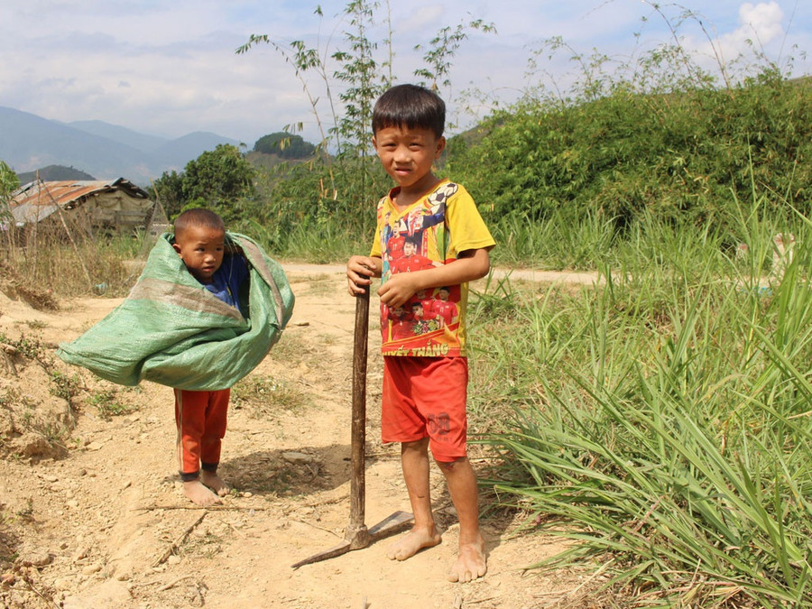 Những em bé người Mông như thế này cũng đã đi mót sắn Những em bé người Mông như thế này cũng đã đi mót sắn