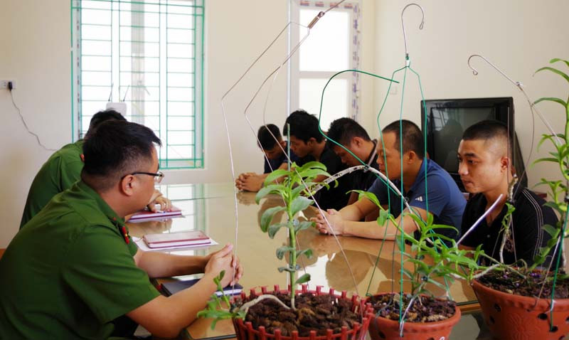 Ảnh minh họa: Internet