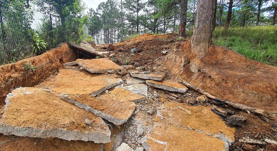 Sáng 15-5, cơ quan chức năng tiến hành giải toả, thu hồi khu vực đất rừng vừa bị lấn chiếm