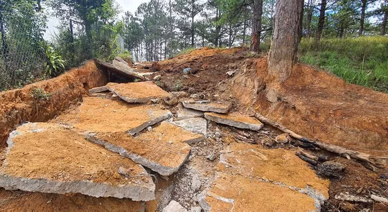 Sáng 15-5, cơ quan chức năng tiến hành giải toả, thu hồi khu vực đất rừng vừa bị lấn chiếm