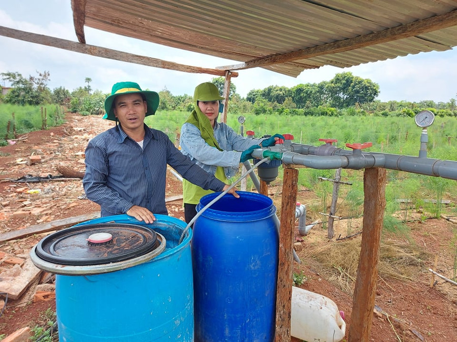  Bên cạnh việc tập trung vực dậy kinh tế, người dân Chư Pưh cũng mạnh dạn thử nghiệm các giống cây trồng mới như măng tây, chú trọng áp dụng khoa học kỹ thuật, công nghệ cao.