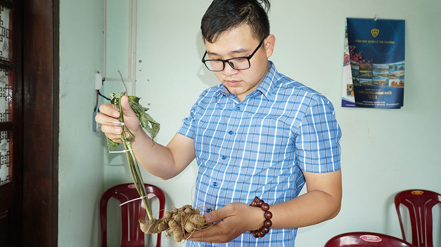 Một loại củ có hình dạng giống sâm Ngọc Linh - ẢNH: TN Một loại củ có hình dạng giống sâm Ngọc Linh - ẢNH: TN