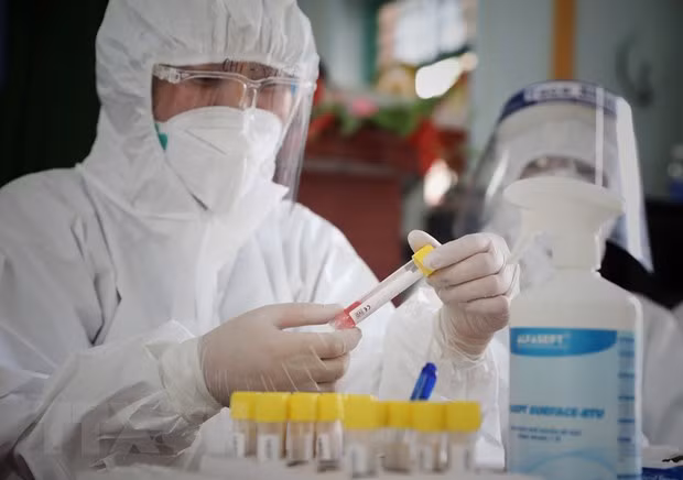  (Ảnh: Danh Lam/TTXVN)